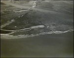 Aerial View of Shell Key Preserve, St. Petersburg, Florida, A by Skip Gandy