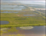 Aerial View of Wetlands Adjacent to Cargill Fertilizer Facility, Riverview, Florida, A