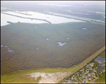 Aerial View of Wetlands Adjacent to Cargill Fertilizer Facility, Riverview, Florida, B