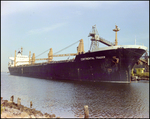 Cargo ship Continental Trader docked, Port Tampa Bay, Florida, Q