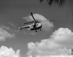 U.S. Coast Guard Helicopter Flying Overhead by Skip Gandy