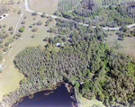 Nature Preserve, Near Tampa, Florida, A by Skip Gandy