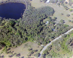 Nature Preserve, Near Tampa, Florida, D by Skip Gandy