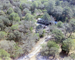 House on Nature Perserve, Near Tampa, Florida, A by Skip Gandy