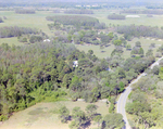 Nature Perserve, Near Tampa, Florida, F by Skip Gandy