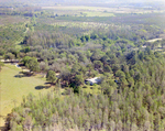 House on Nature Perserve, Near Tampa, Florida, E by Skip Gandy