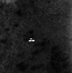 Aerial View of Flying Aircraft over Rural Landscape, Tampa, Florida, B by George Skip Gandy IV