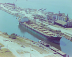 Cargo Ship, Damodar General T.J. Park, Docked at Port Tampa, Florida, A