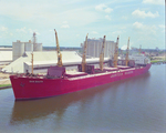 Cargo Ship, Dan Bauta, at Port Tampa, Florida, A by George Skip Gandy IV