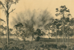 Detonation in Forest