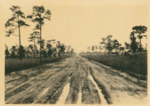 Gandy Highway Under Construction in Pinellas County