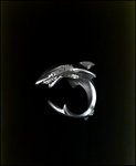 Silver Shark Ring, B by Skip Gandy