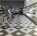 Holland and Knight, Publix at Britton Plaza, A by George Skip Gandy IV
