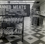 Holland and Knight, Publix at Britton Plaza, C by George Skip Gandy IV