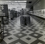 Holland and Knight, Publix at Britton Plaza, E by George Skip Gandy IV