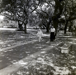 The Home Association Residents, E by George Skip Gandy IV