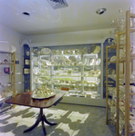 Interior of Alvin Magnon Jewelers Building, Tampa, V by George Skip Gandy IV