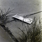 Treasury Department Envelope for MBC Advertising, A by George Skip Gandy IV