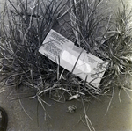 Treasury Department Envelope for MBC Advertising, E by George Skip Gandy IV