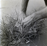 Treasury Department Envelope for MBC Advertising, Q by George Skip Gandy IV