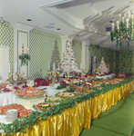 Tampa Manger Hotel and Motor Inn Grand Opening, C by George Skip Gandy IV