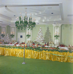 Tampa Manger Hotel and Motor Inn Grand Opening, G by George Skip Gandy IV