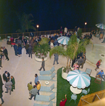 Tampa Manger Hotel and Motor Inn Grand Opening, S by George Skip Gandy IV