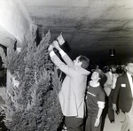 Man Attaches Flag to Tree at Party for Marling Group and Westshore 500, A by George Skip Gandy IV