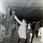 Man Attaches Flag to Tree at Party for Marling Group and Westshore 500, B by George Skip Gandy IV