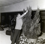 Man Attaches Flag to Tree at Party for Marling Group and Westshore 500, C by George Skip Gandy IV