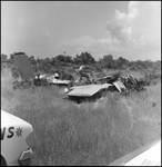 Debris From Plane Crash, A by Skip Gandy