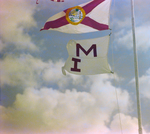 Misener Industries and Florida State Flags by George Skip Gandy IV