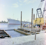 Audience and Island Jester at Misener Industries by George Skip Gandy IV