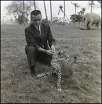 Man With Cheetah Cub at Busch Gardens, B by Skip Gandy