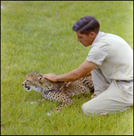 Zookeeper and Cheetah at Busch Gardens by Skip Gandy