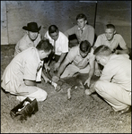 A Group of Men Looking After a Wounded Blesbok at Busch Gardens by Skip Gandy