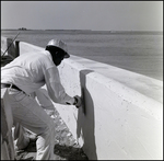 Applying Concrete to Sea Wall, F by Skip Gandy