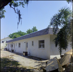 Building Surrounded by Trees and Sidewalks, K by Skip Gandy