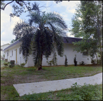 Building Surrounded by Trees and Sidewalks, P by Skip Gandy