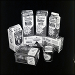 Dairy products from the Borden Company, B