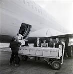 Loading an Airplane with Boxes, C by Skip Gandy