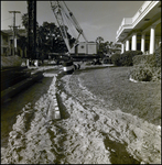 Crane Working in Front of a Building, Tampa, Florida, C by George Skip Gandy IV