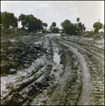 Dirt Trail at a Cone Brothers Construction Site, Tampa, Florida, E by George Skip Gandy IV