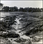 Water-filled Trench at a Cone Brothers Construction Site, Tampa, Florida, R by George Skip Gandy IV