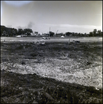 Bulldozer in Use at a Cone Brothers Construction Site, Tampa, Florida, C by George Skip Gandy IV