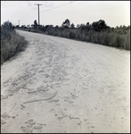 Dirt Road at a Cone Brothers Construction Site, Tampa, Florida, R by George Skip Gandy IV