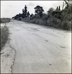 Road at a Cone Brothers Construction Site, Tampa, Florida, A by George Skip Gandy IV