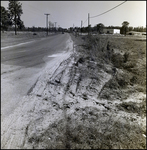 Shoulder and Road, Tampa, Florida, B by George Skip Gandy IV