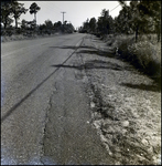 Shoulder and Road, Tampa, Florida, E by George Skip Gandy IV