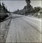 Shoulder and Road, Tampa, Florida, I by George Skip Gandy IV